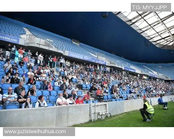 埃及与哥伦比亚足球场地对比分析探讨赛事影响与观众体验