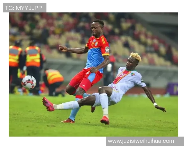 埃及与尼日尔刚果的足球对决谁能赢得胜利的荣耀与未来